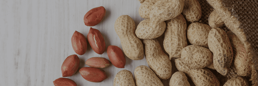 Frutos secos: ¿Engordan? Beneficios y Tipos