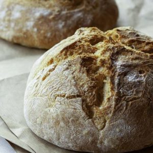 masa madre para la elaboración de pan